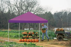 10' x 10' Pro Pop-up Canopy Straight Leg, Purple Cover