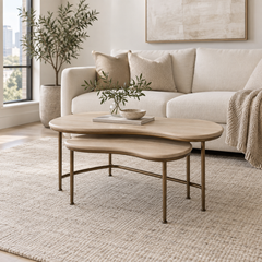 Halo 2-Piece Nesting Coffee Table Set
