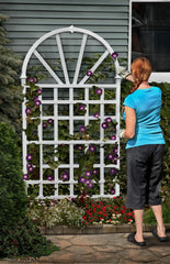 Vita 39"L x 77"H Athens Vinyl Trellis, White, VA68202