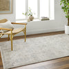 Livabliss Alpharetta Vintage Floral Area Rug,5'3" x 7',Cream/Gray