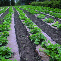 DeWitt NAT3300 3 x 300 Ft Natural Biodegradable Paper Mulch Garden Weed Barrier