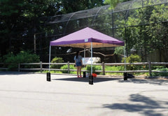 10' x 10' Pro Pop-up Canopy Straight Leg, Purple Cover